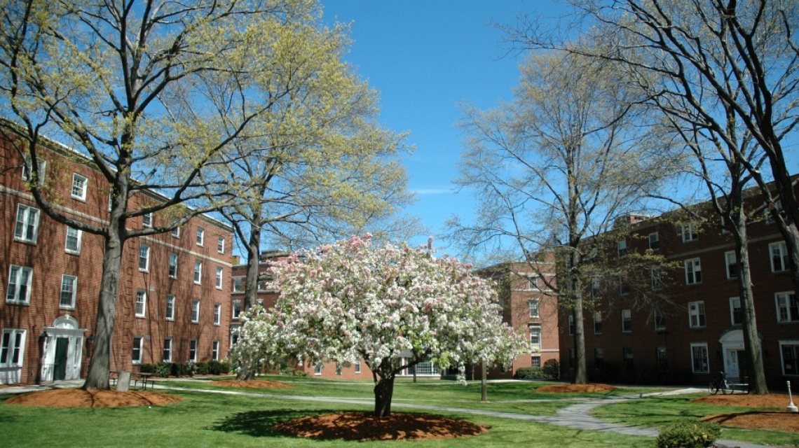 Application Closed for the 2024 Season Simmons University Intern